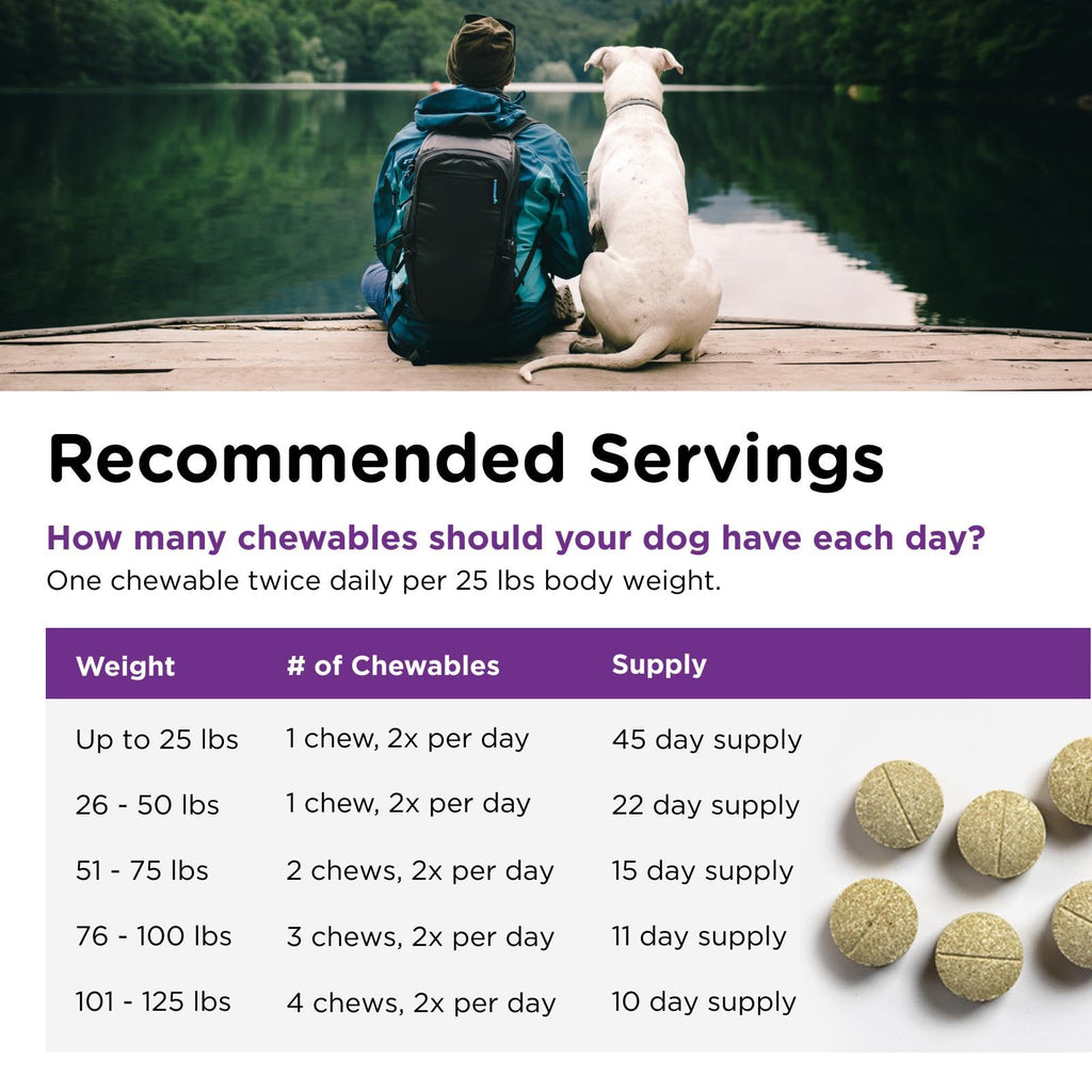 Dog Bladder Control 90 Tablets E977634