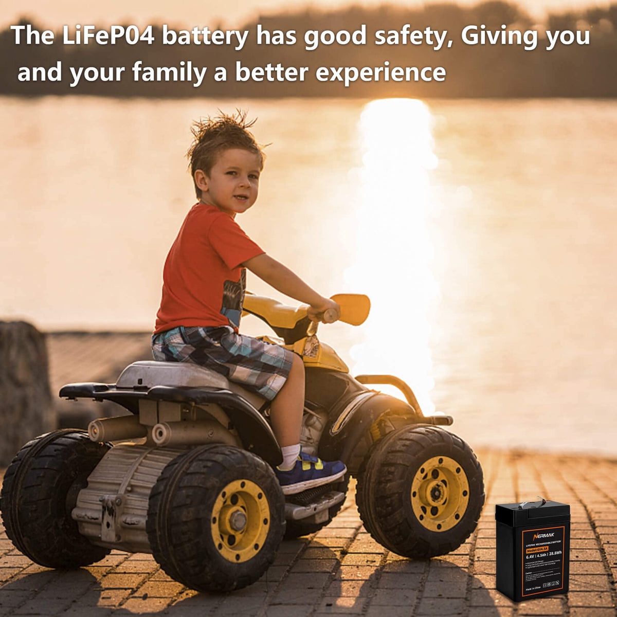 6V 4.5Ah LiFePO4 Battery 2 Pack E69845