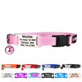 Personalized Cat Collars with Tag D54180