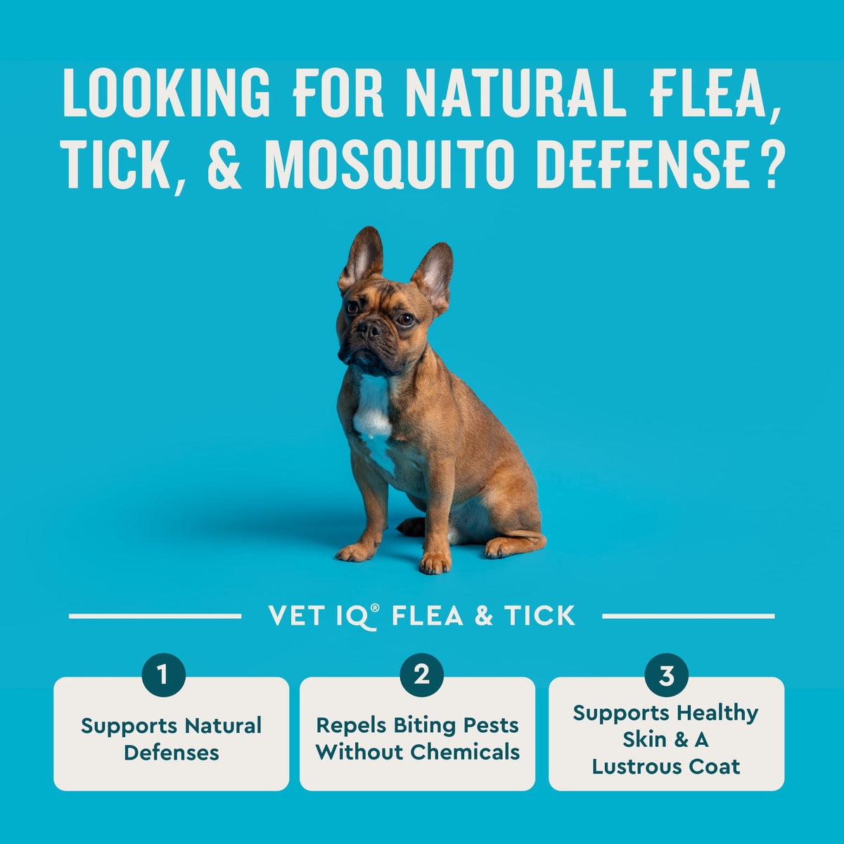 Chemical-Free Soft Chews Flea & Tick Support Dogs 60-Count P7248