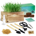 Non-GMO Wheatgrass Cat Grass Kit with Wood Planter Soil & Tools 17-Piece Set D327458