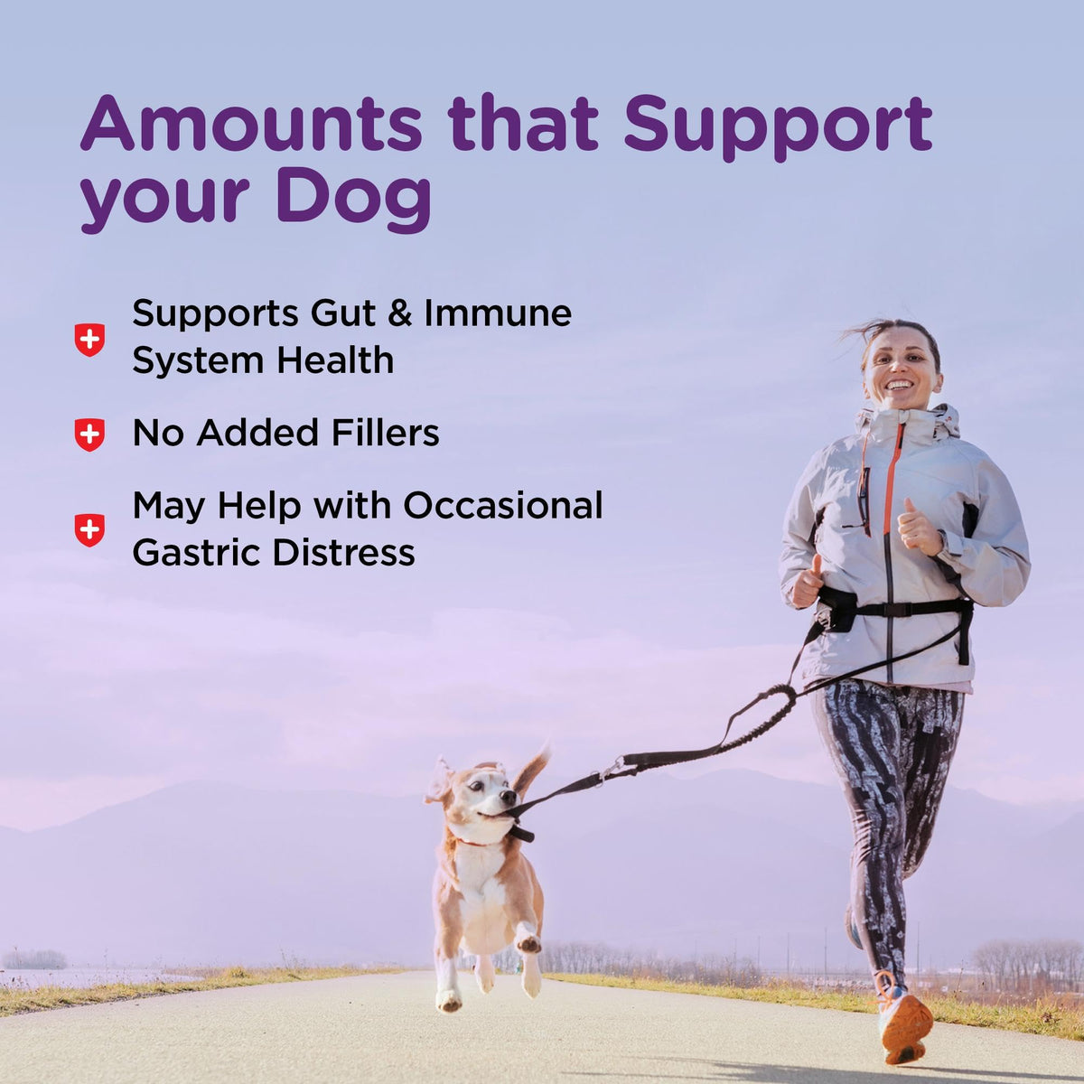 Dog Bladder Control 90 Tablets E977634