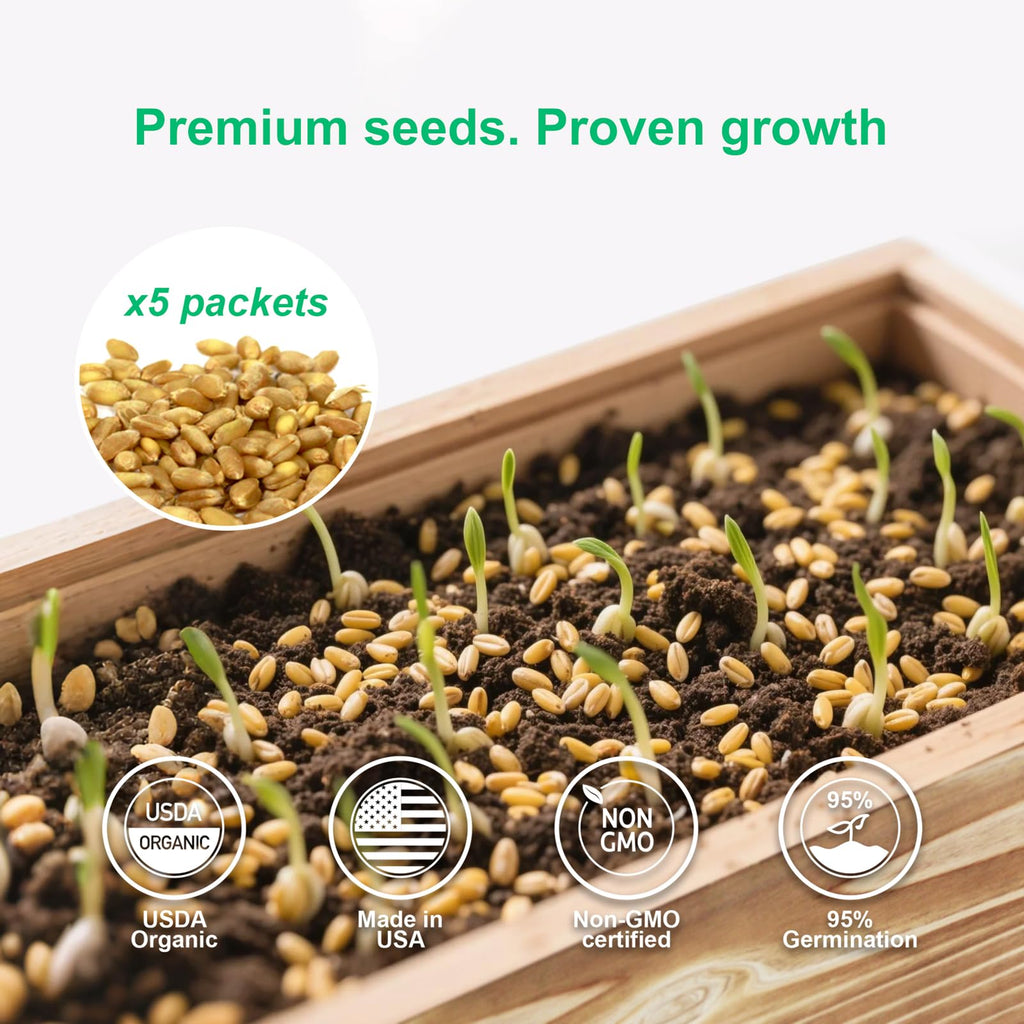 Non-GMO Wheatgrass Cat Grass Kit with Wood Planter Soil & Tools 17-Piece Set D327458