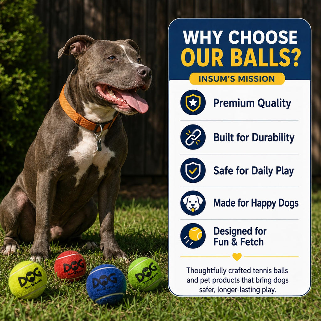 12 Pack Colorful Dog Toy Balls O2387