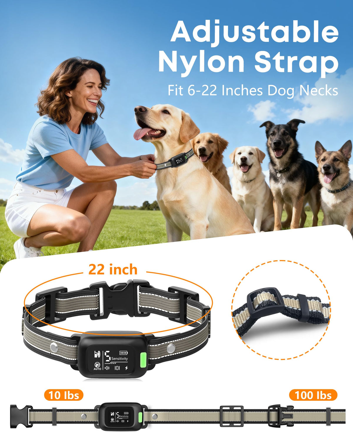 2-in-1 Dog Bark & Shock Collar with Remote F495