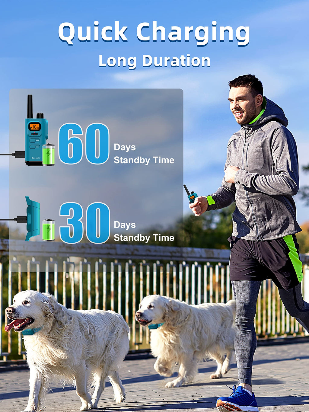 Waterproof Rechargeable Dog Training Collar with Remote U731