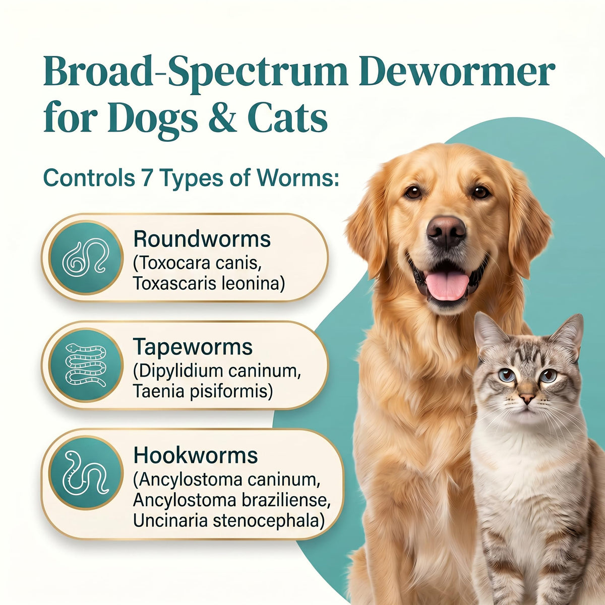 Pyrantel Pamoate and Praziquantel De-wormer Tablet for Dog & Cat 100 Tablets O268