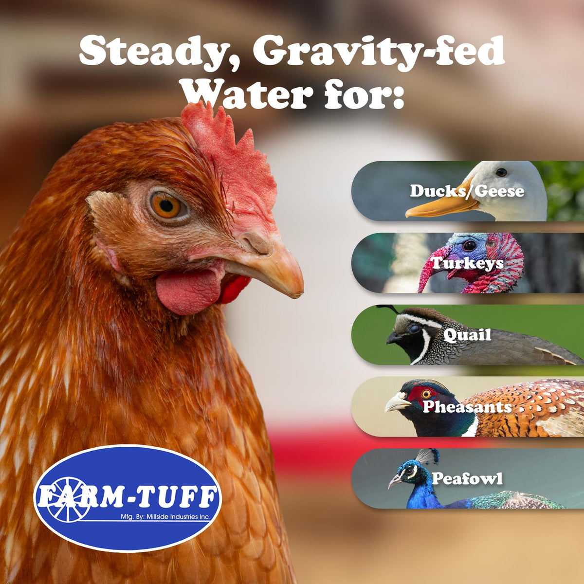 5-Gallon Hanging Chicken Waterer H401153