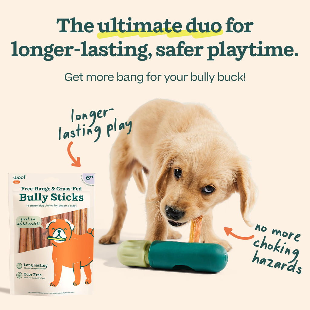 Bully Sticks 6" 5 Pack Z662