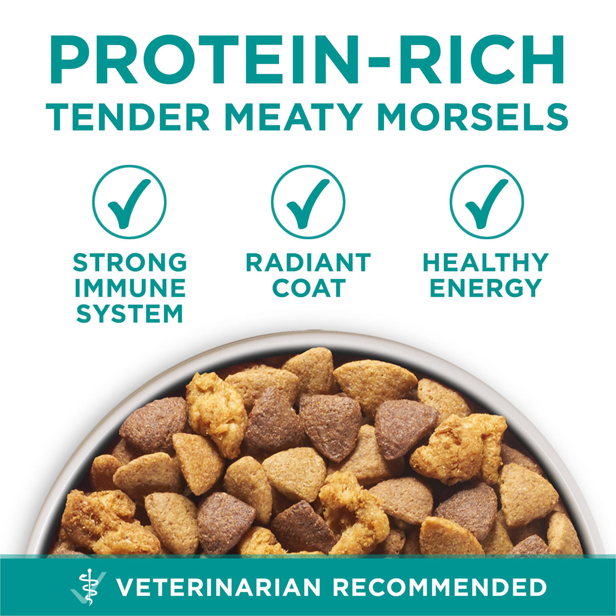 Chicken Dry Dog Food 31.1 lb Bag D718