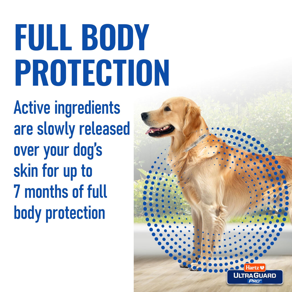 Reflective Flea & Tick Collar for Dogs and Puppies, 7 Month, 1 Count Z324