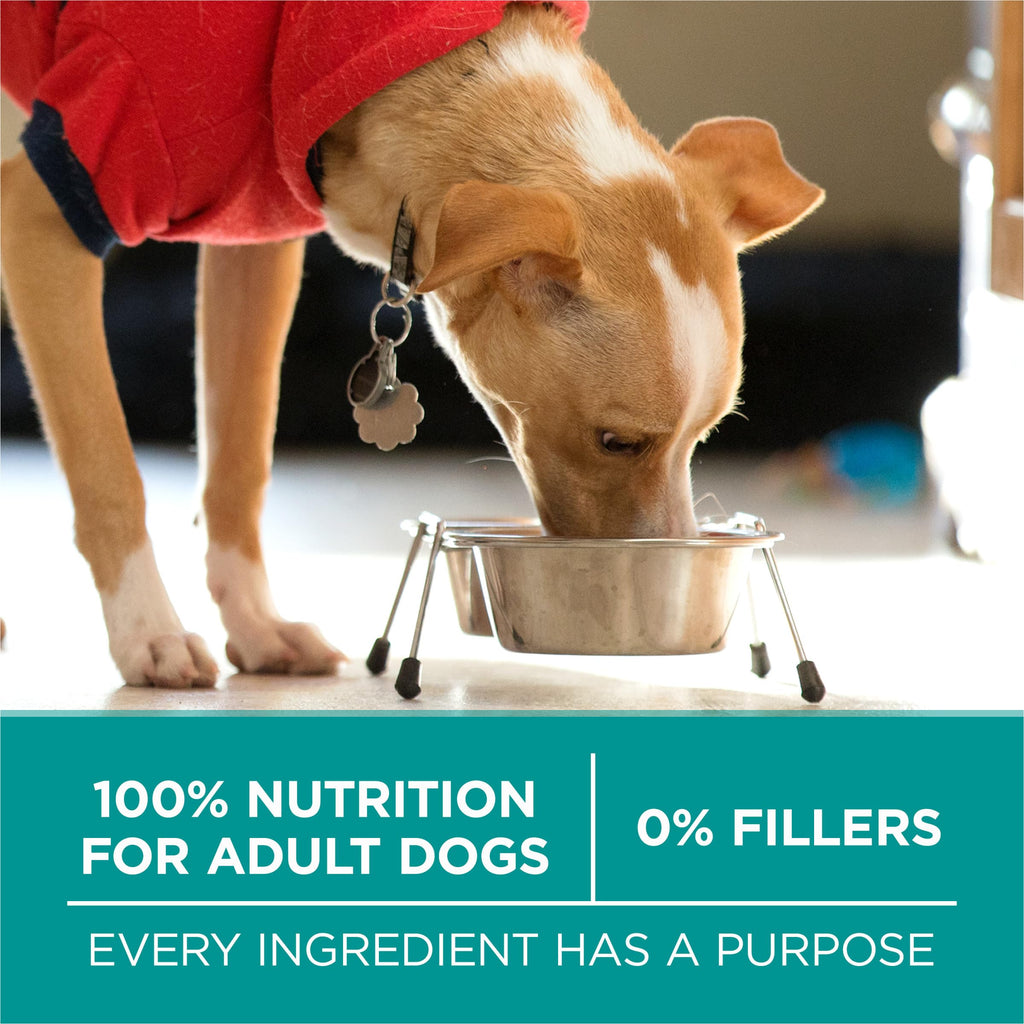 Chicken Dry Dog Food 31.1 lb Bag D718
