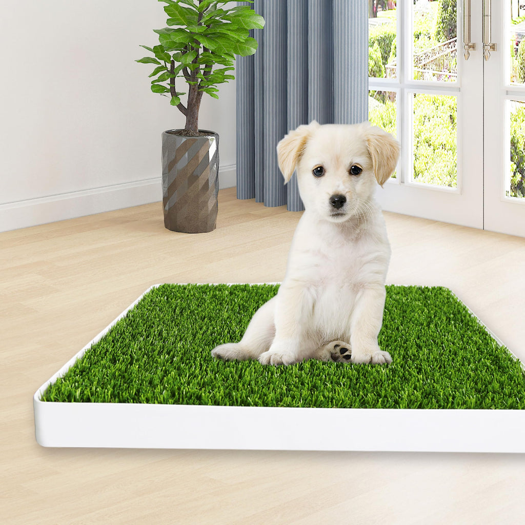 Indoor Fake Grass Pad with Tray V65053