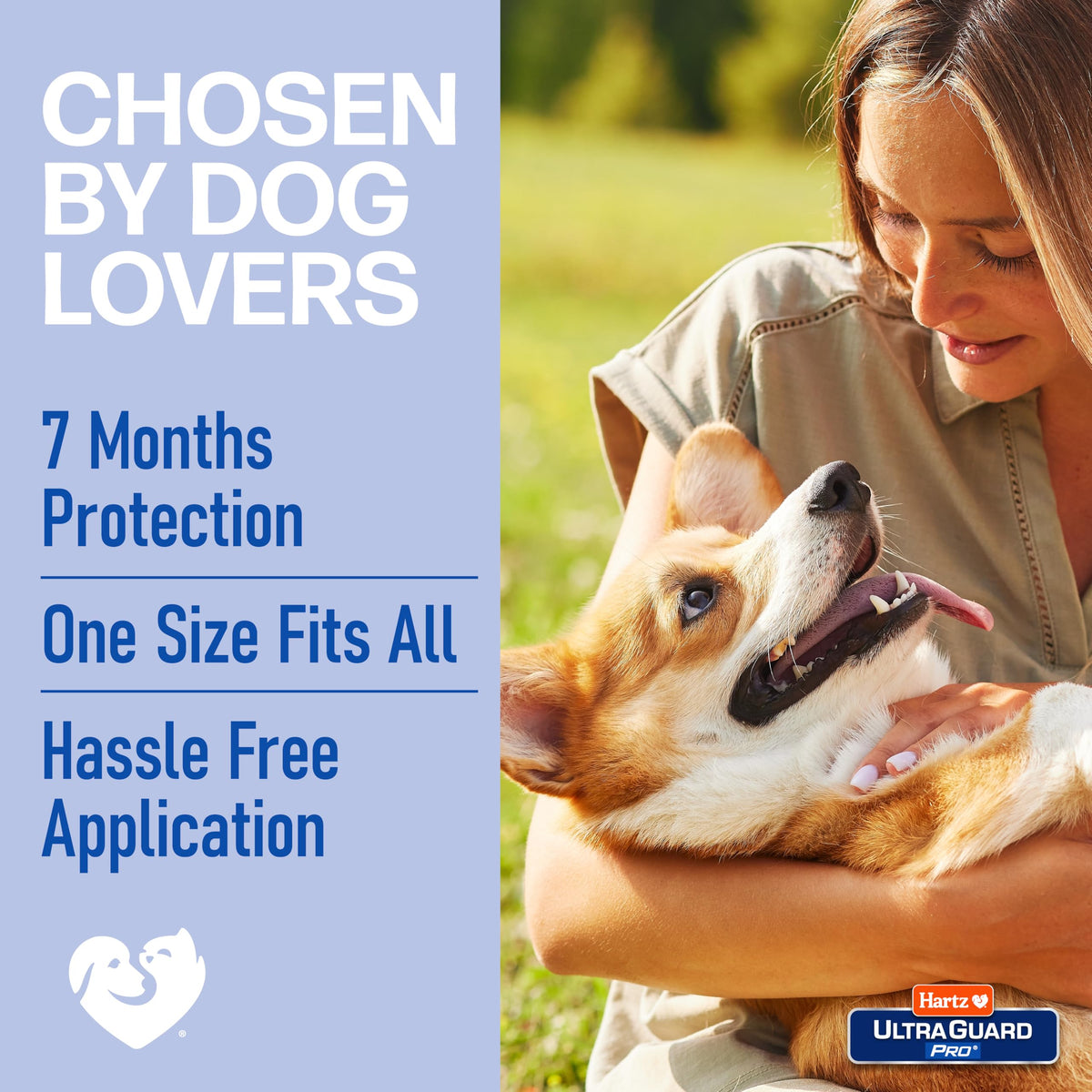 Reflective Flea & Tick Collar for Dogs and Puppies, 7 Month, 1 Count Z324