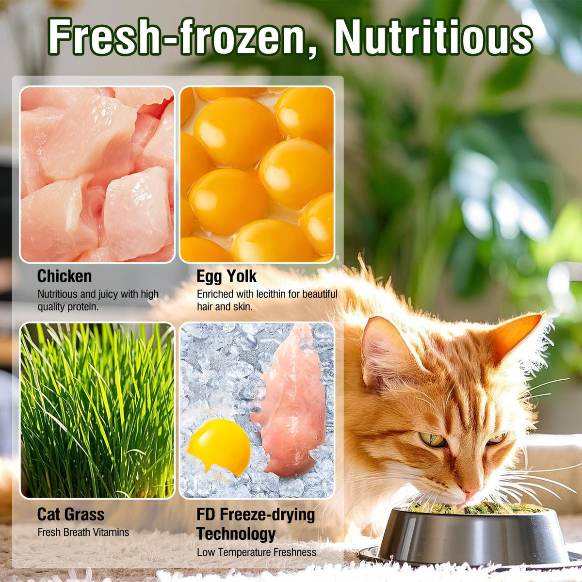Freeze Drying Cat Grass Treats with Chicken & Egg Yolk 2.3 oz D865