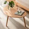 Small Oval Solid Wood Coffee Table A428291
