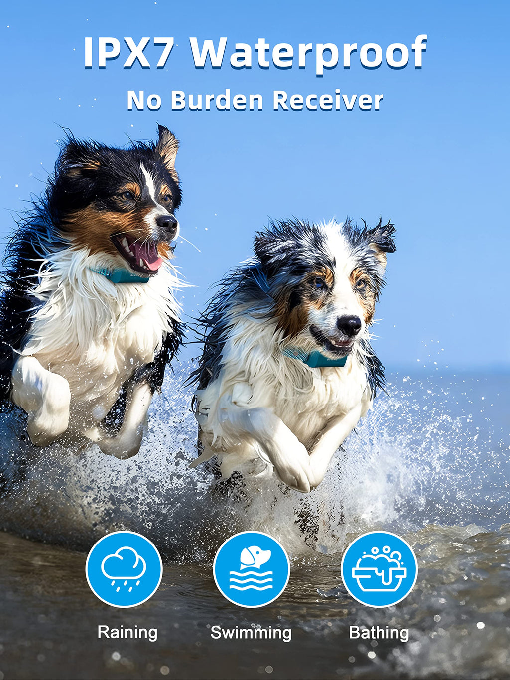 Waterproof Rechargeable Dog Training Collar with Remote U731