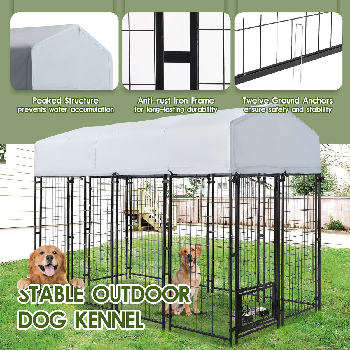 8x4x6 FT Dog Kennel G161